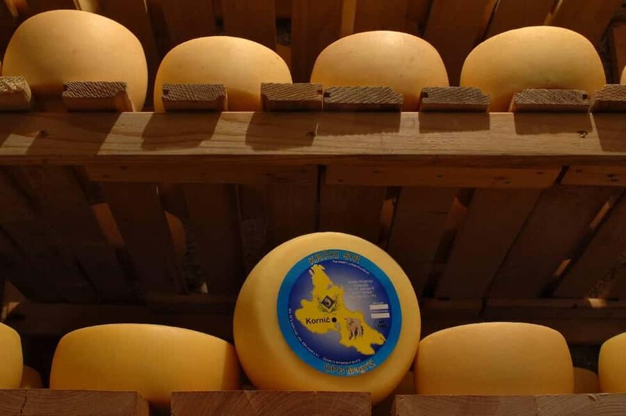 KRK: Cheese factory inside tour and product tasting–guide - From chilled milk to finished sheep cheese