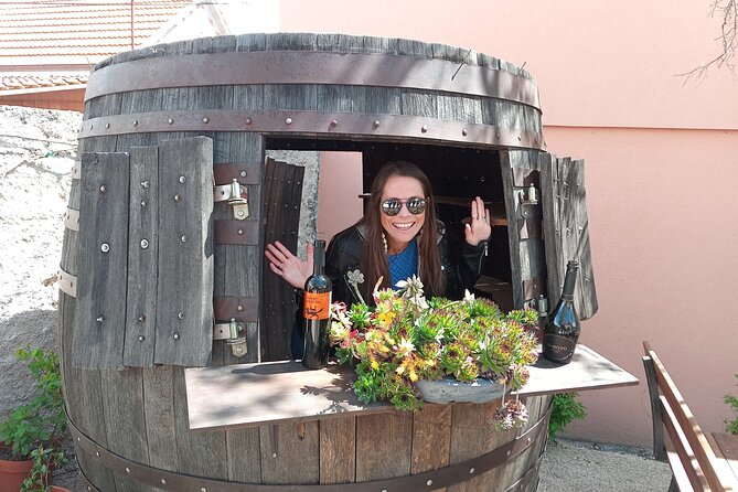 Krka Waterfalls & Wine and Cheese Tasting Tour from Split - The Sladić wine tasting in Skradin