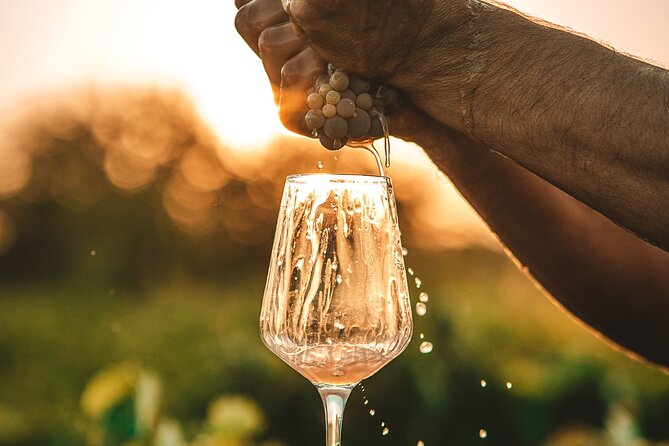 Krka Waterfalls & Wine and Cheese Tasting Tour from Split - One hour in Skradin, including the swim