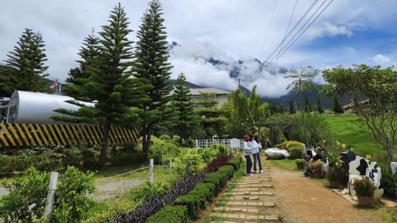 Kundasang: Day Tour with Desa Dairy Farm and Alpaca Club - Walking through Desa Dairy Farm