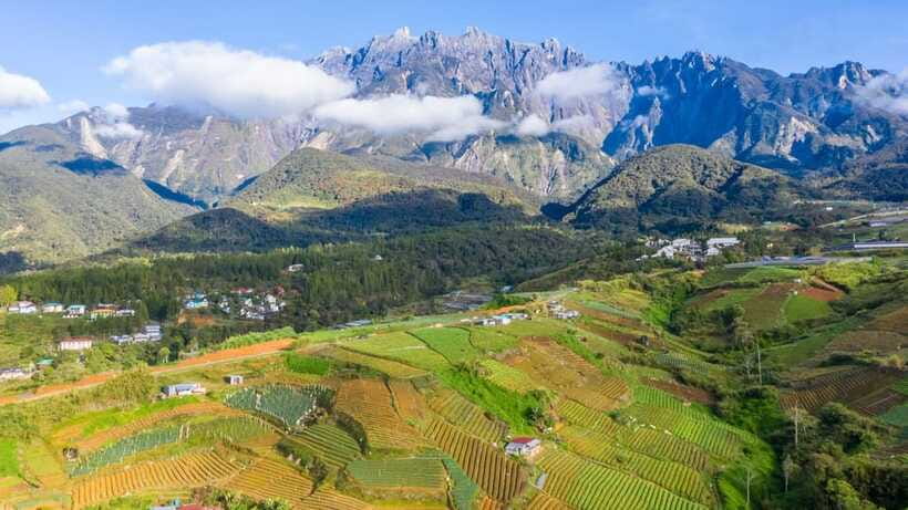 Kundasang: Day Tour with Desa Dairy Farm and Alpaca Club - Finishing at Sabah City Mosque