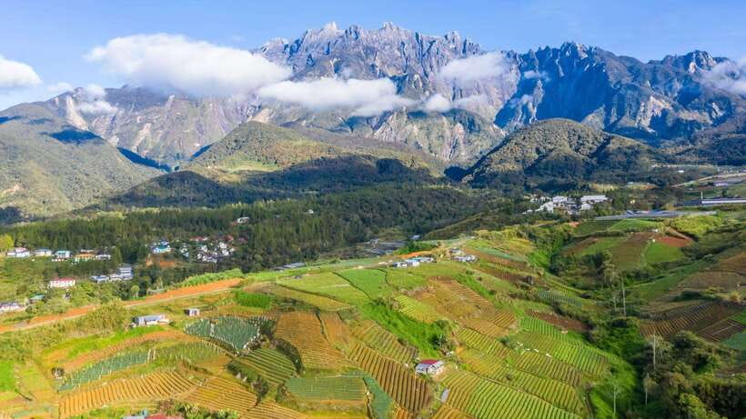 Kundasang: Day Tour with Desa Dairy Farm and Alpaca Club - Starting at Rumah Terbalik, Sabah’s upside-down house