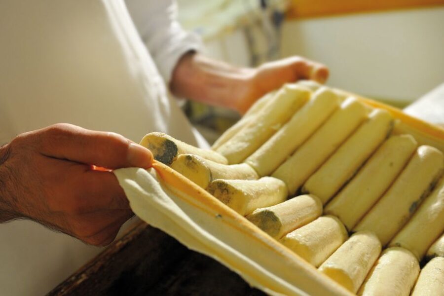 Lake Como: Cheese Factory Tour and Tasting in Valsassina - The 40-minute guided tour and the value of a real explanation