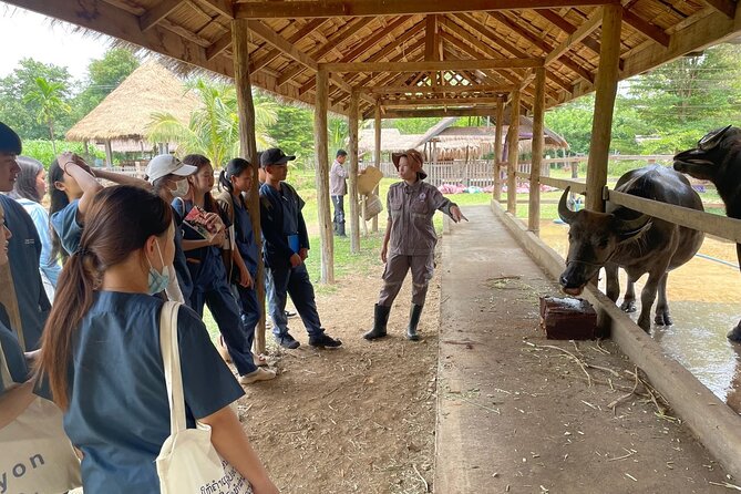 Laos Buffalo Dairy Tours Interact, Learn and Taste Fresh Flavors - Fresh ice cream and homemade cake at the café