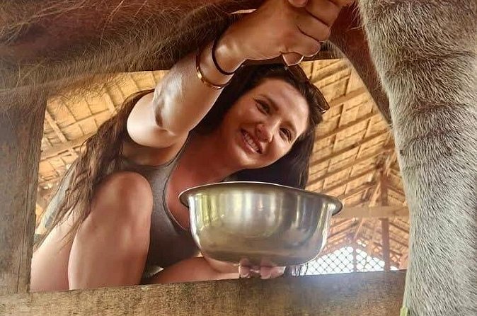 Laos Buffalo Dairy Tours Interact, Learn and Taste Fresh Flavors - Choosing the right tour option