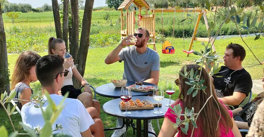 Lazise: Wine Tasting with Charcuterie and Cheese Board - A countryside table near Lake Garda