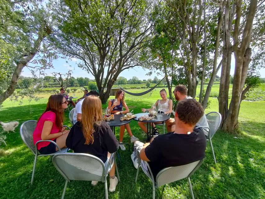 Lazise: Wine Tasting with Charcuterie and Cheese Board - A relaxed setting for families and small groups