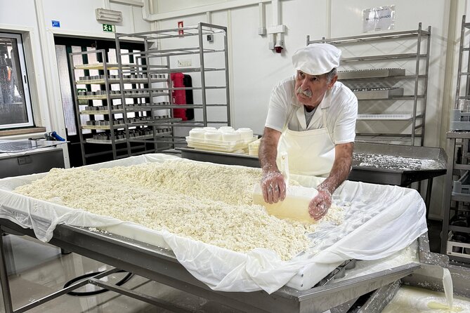 Lisbon Cheese Factory Visit, Wine Tasting and Tile Painting Tour - A full day of food, craft, and views