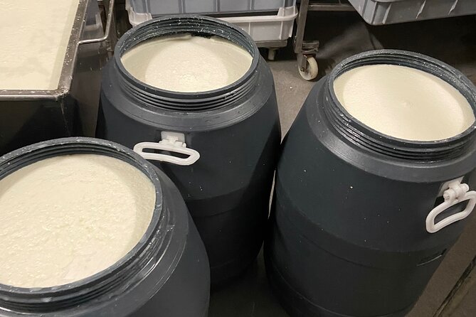 Lisbon Cheese Factory Visit, Wine Tasting and Tile Painting Tour - Four wines, four cheeses, and a family winery