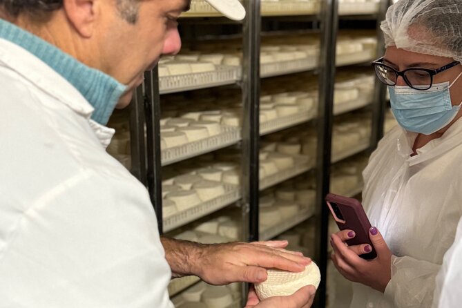 Lisbon Cheese Factory Visit, Wine Tasting and Tile Painting Tour - Lunch and open time in Sesimbra