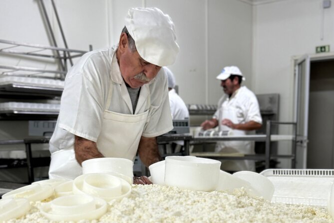 Lisbon Cheese Factory Visit, Wine Tasting and Tile Painting Tour - What the $216.67 price includes