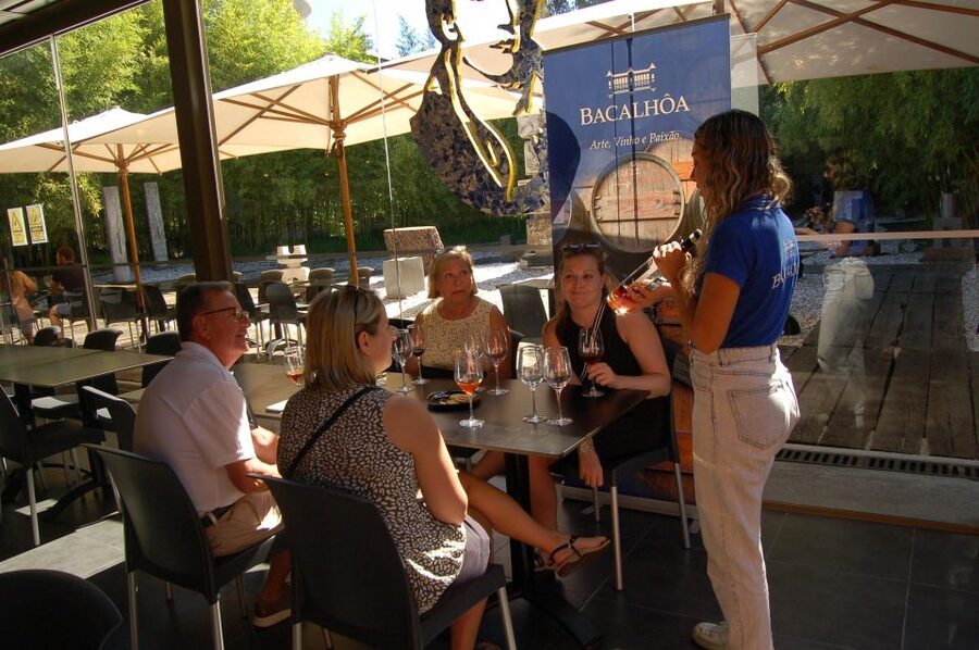 Lisbon Getaway: Private Arrábida Wine & Food Tour - Starting with Setúbal’s Mercado do Livramento
