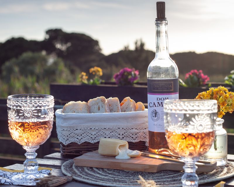 Lisbon Getaway: Private Arrábida Wine & Food Tour - José Maria da Fonseca and the story of Moscatel