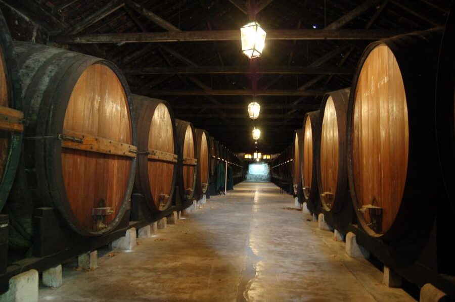 Lisbon Getaway: Private Arrábida Wine & Food Tour - What the $222 price gets you