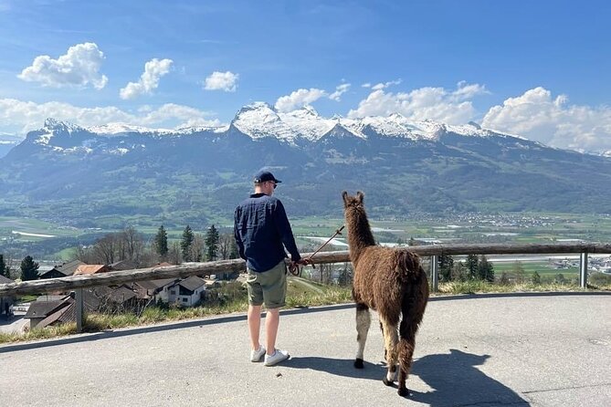 Llama hike with homemade, traditional cheese fondue - Why the llama and fondue pairing works