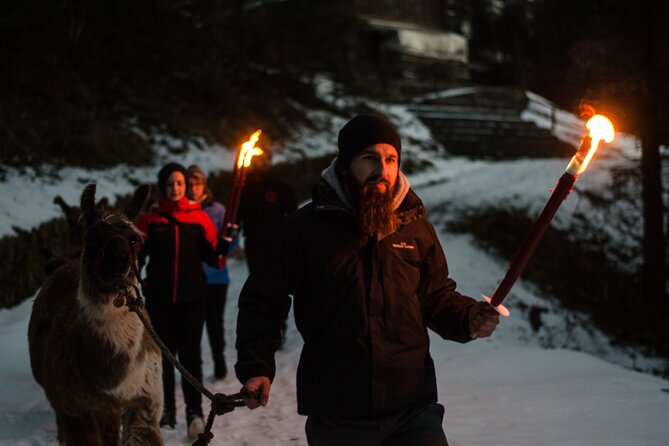 Llama hike with homemade, traditional cheese fondue - What the guided walk is like