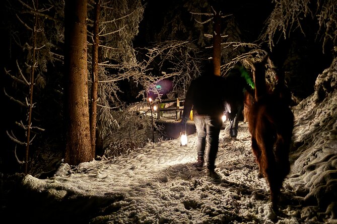 Llama hike with homemade, traditional cheese fondue - Is $99.90 a fair price?