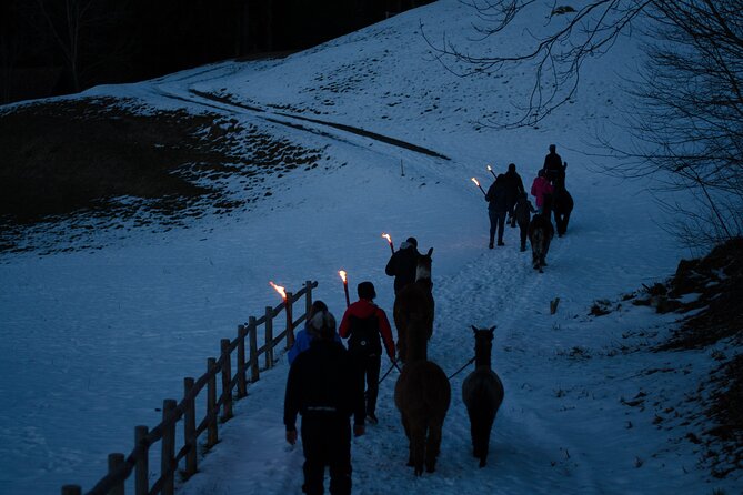 Llama hike with homemade, traditional cheese fondue - Practical tips for a better evening