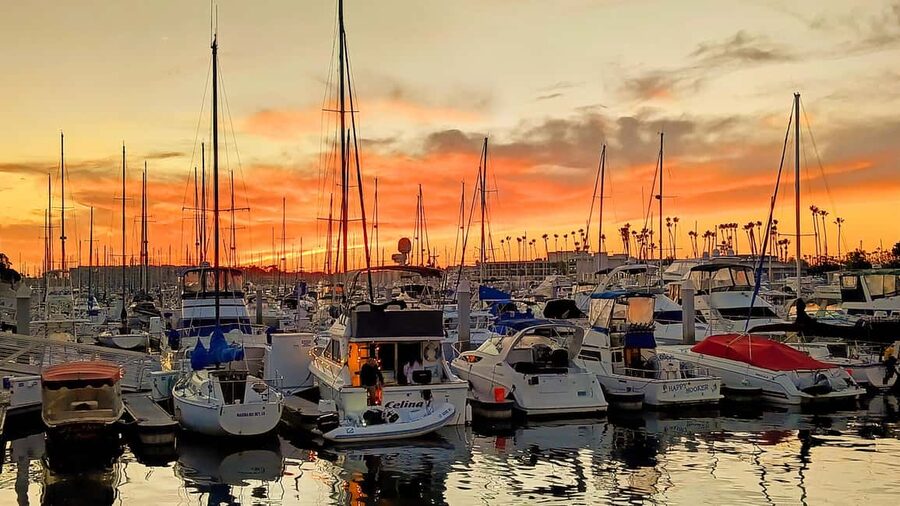 Los Angeles #1: Luxury Boat Cruise-Wine, Cheese & Sea Lions - Key points to know