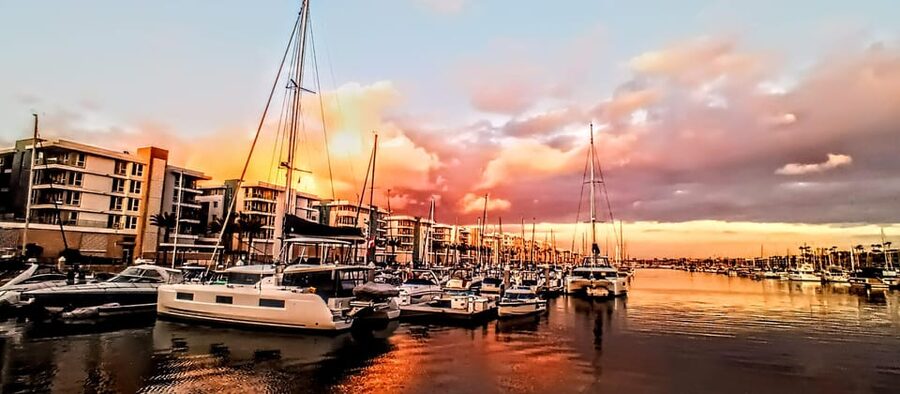 Los Angeles #1: Luxury Boat Cruise-Wine, Cheese & Sea Lions - Is this Marina del Rey cruise worth booking?