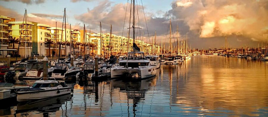Los Angeles #1: Luxury Boat Cruise-Wine, Cheese & Sea Lions - Wine, charcuterie, and the price question