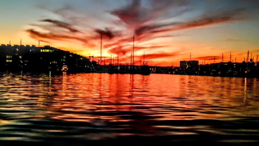 Los Angeles #1: Luxury Boat Cruise-Wine, Cheese & Sea Lions - Picking the right occasion