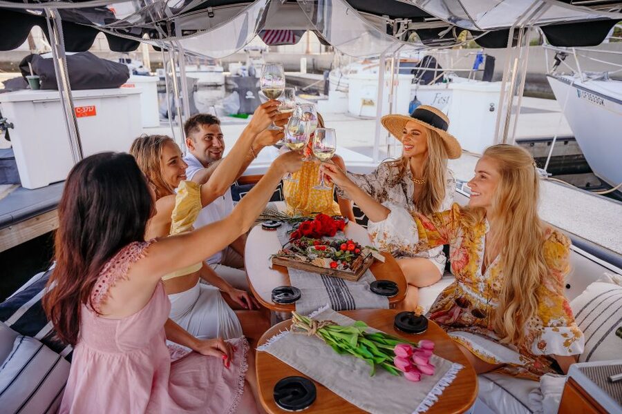 Los Angeles: Luxury Cruise with Wine, Cheese & Sea Lions - Sea lions, birds, and marina wildlife