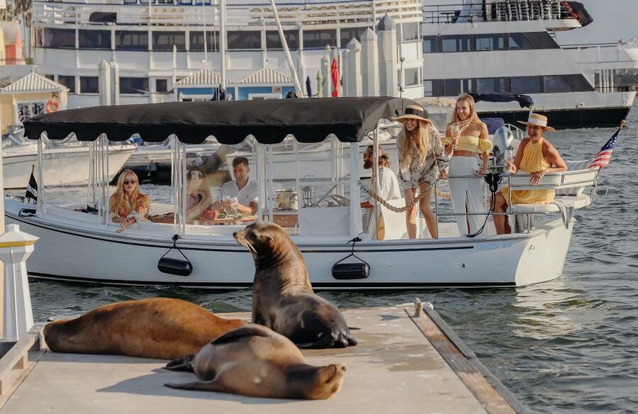 Los Angeles: Luxury Cruise with Wine, Cheese & Sea Lions - From the dock to the main channel