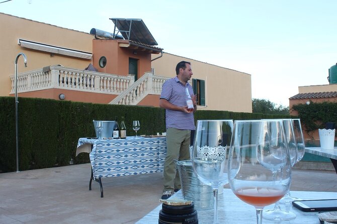 Mallorca Wine and Cheese Tasting - Five Mallorcan wines in one easy sitting