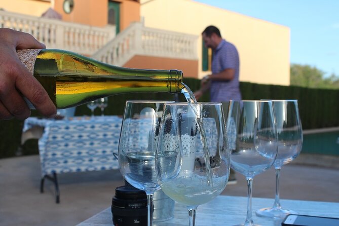 Mallorca Wine and Cheese Tasting - Why the small group makes a difference