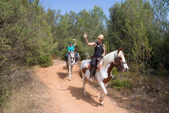Mallorca Wine and Cheese Tasting - How much value do you get for $48.57?