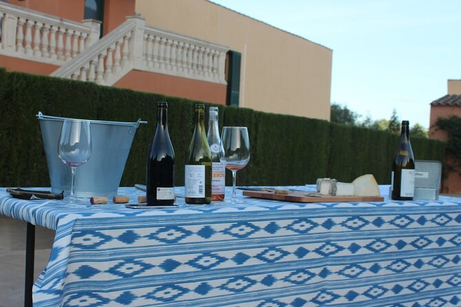 Mallorca Wine and Cheese Tasting - Who should book this Alcúdia tasting?