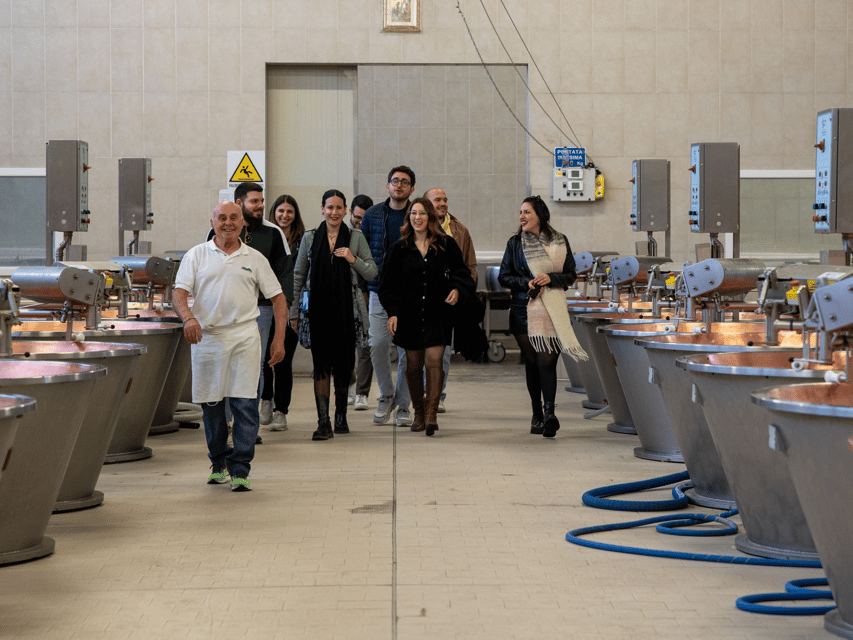 Maranello: Parmesan Factory Tasting & Tour near Modena - Three Ages of Parmigiano Reggiano at the Table