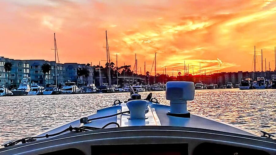 Marina Del Rey: Romantic Cruise, Wine, Cheese, Sealions - Key points to know before you book