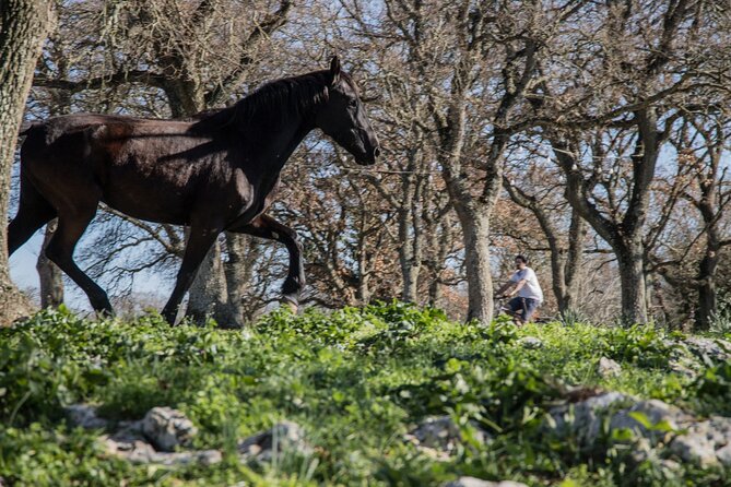 Martina Franca e-Bike tour . Visit a breeding and a dairy farm - Practical Details Before You Go