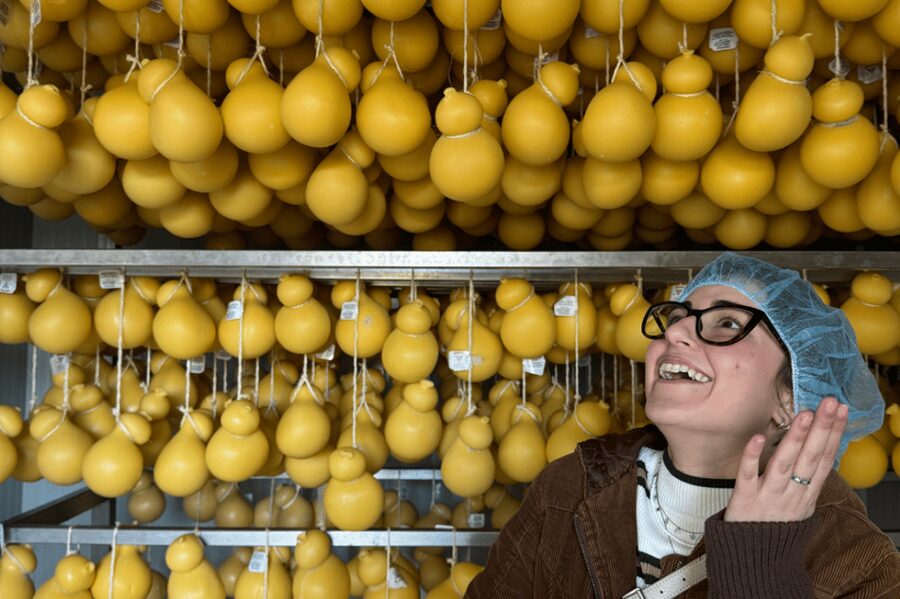Martina Franca: Mozzarella and Pasta Workshop with Farm Tour - Starting at a working farm near Martina Franca