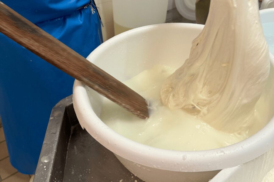 Martina Franca: Mozzarella and Pasta Workshop with Farm Tour - Shaping pasta in the second workshop