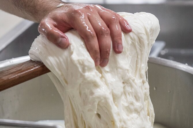 Masseria Seppunisi Tour - Mozzarella and Burrata experience - Starting in the stable near Ceglie Messapica