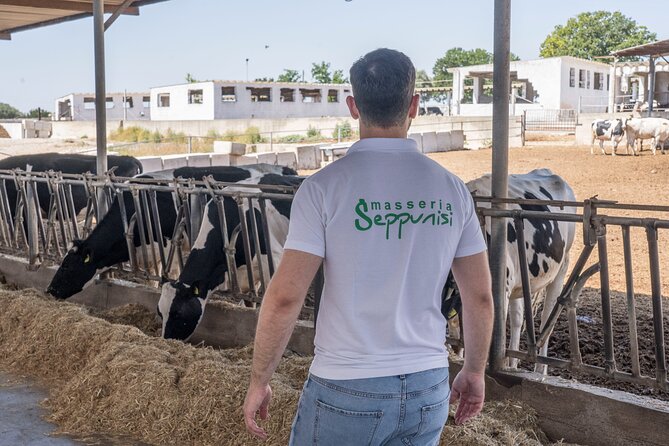 Masseria Seppunisi Tour - Mozzarella and Burrata experience - The farm table: cheese, wine, and yogurt