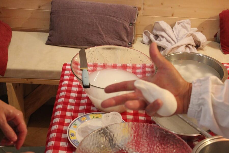 Matera: Mozzarella and Cheese tasting with a Cheesemaker - Should you book the mozzarella class?