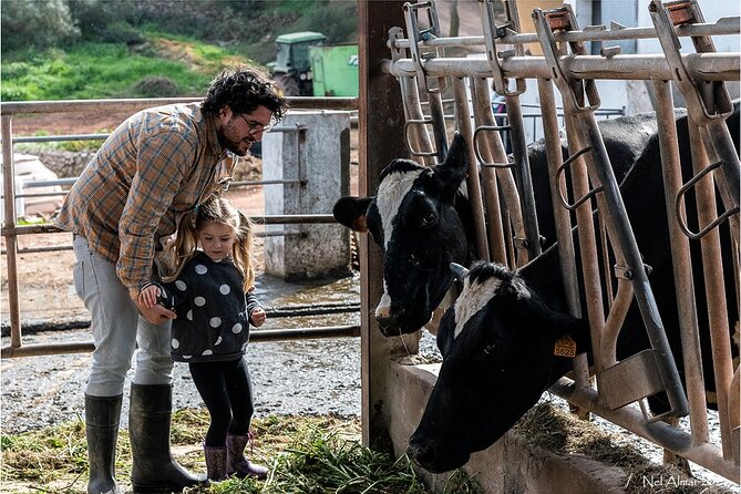 Menorca: Cheesemaking and Farm-Fresh Product Tasting - Why this Ferreries farm visit feels different