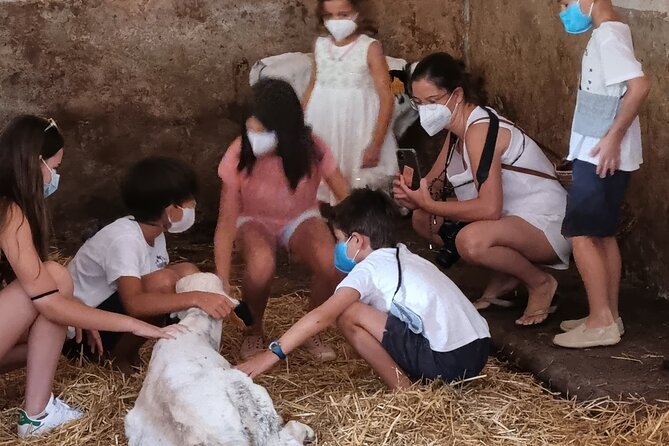 Menorca: Cheesemaking and Farm-Fresh Product Tasting - Making Mahon-Menorca cheese yourself