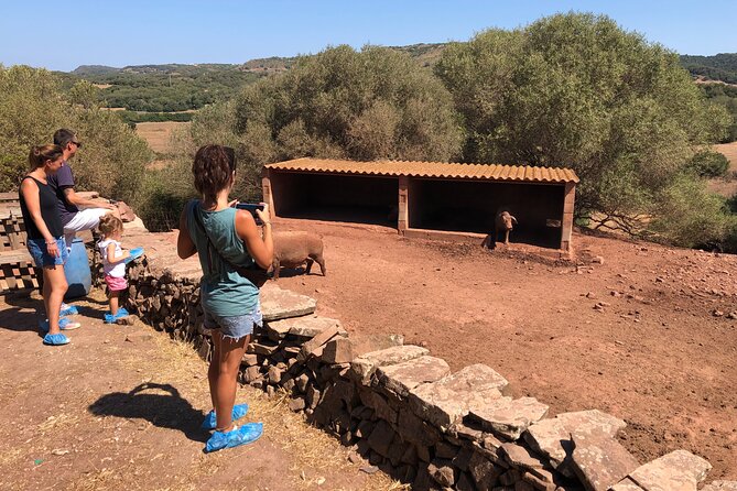 Menorca: Cheesemaking and Farm-Fresh Product Tasting - Tasting what the farm produces