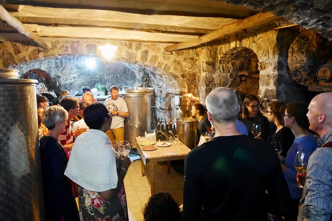 Milk the Cow & Make Mozzarella and Gnocchi with Our Family - A family farm above the Amalfi Coast