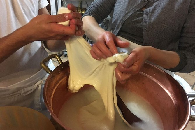 Milk the Cow & Make Mozzarella and Gnocchi with Our Family - Meeting the animals and starting with the milk