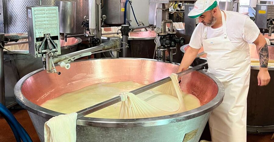 Modena/Bologna: Ferrari, Lambo, Cheese, Vinegar Tour w/Lunch - Parmigiano Reggiano, from copper vats to tasting board