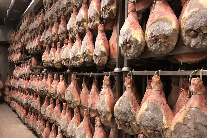 Modena Food:Prosciutto,Parmigiano,Balsamic,Wine,Lunch,Transport - Key points to know before booking