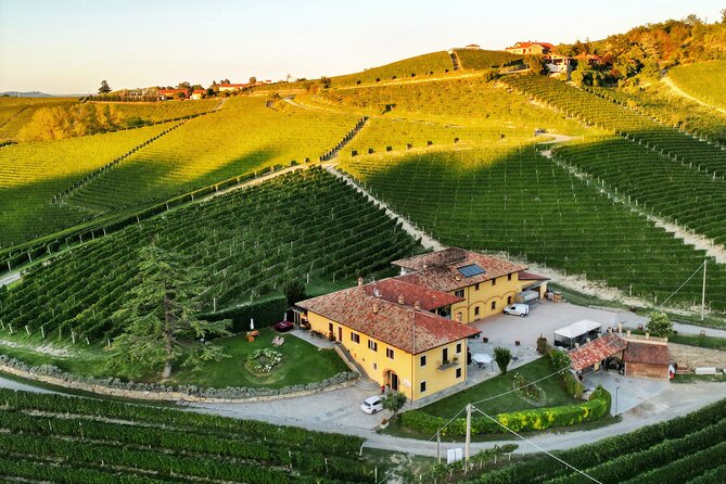 Monforte d'Alba: wine and cheese experience - Who Will Enjoy This Visit Most?