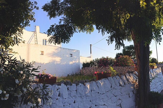 Mozzarella Experience - Cheese Tour and tastings to Masseria Fragnite - Meeting the Cows, Calves, and Pigs