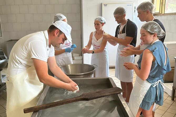 Mozzarella Experience with Tasting in Vico Equense - From curd to fresh fior di latte
